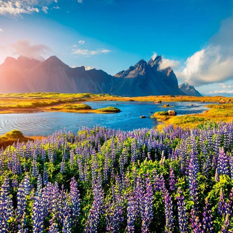 Beste Reisezeit für jedes Land: Wann lohnt sich deine Traumreise am meisten?